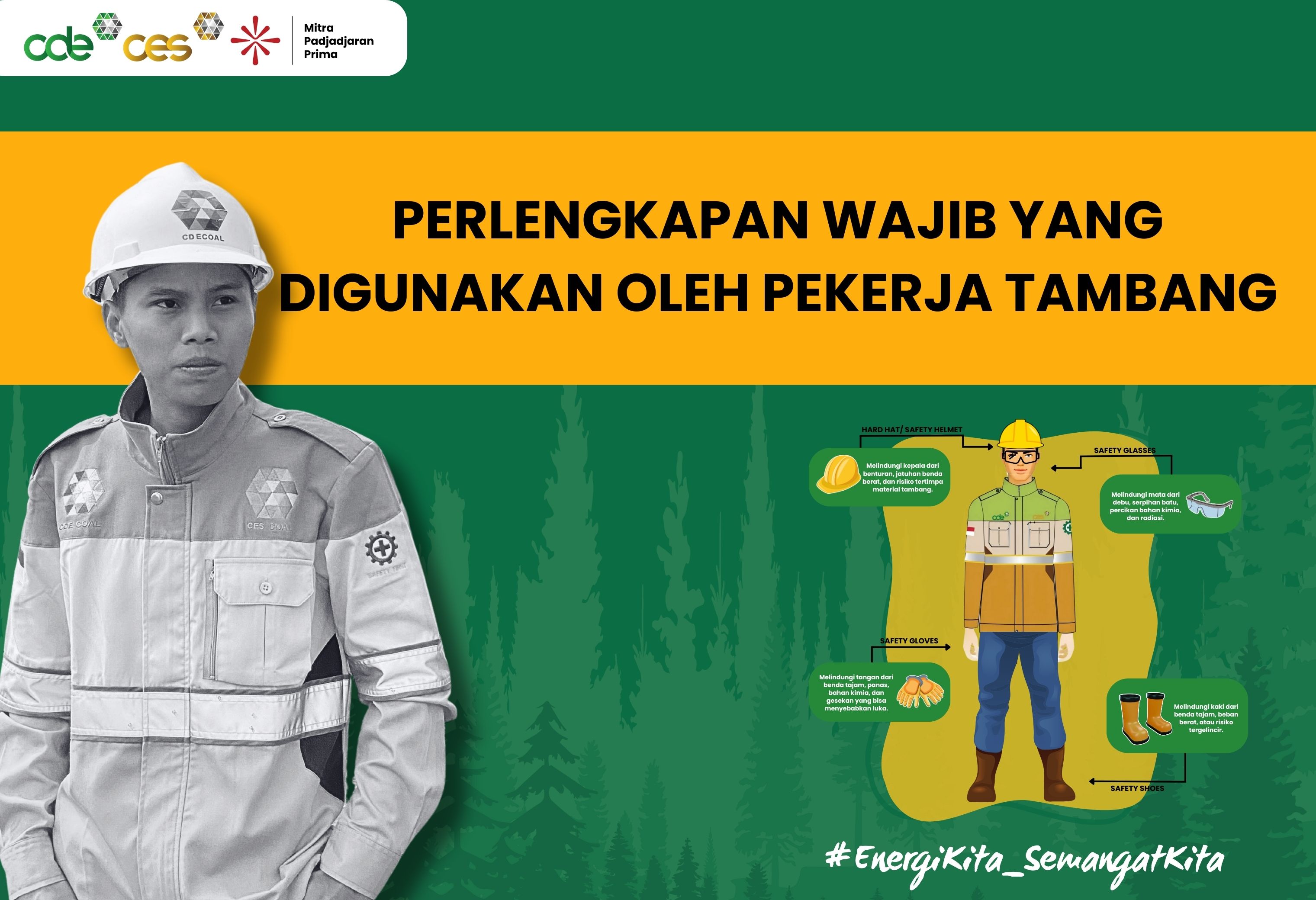 InsightTrend Image